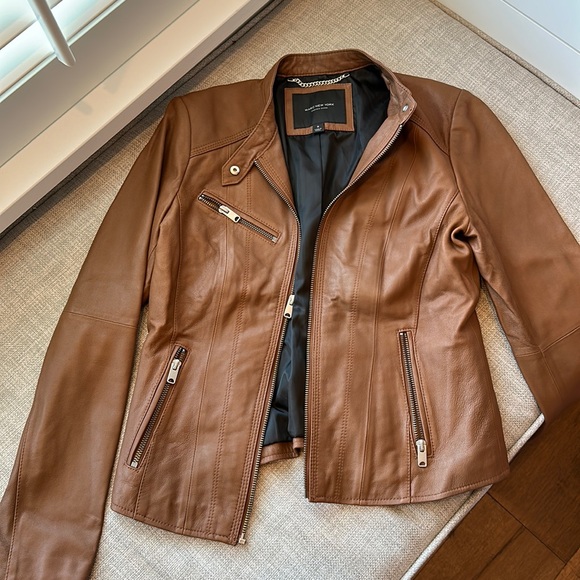 MARC NEW YORK Leather Moto Jacket | Brown Leather Jacket with Hardware Detailing - Picture 3 of 6
